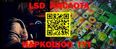 СК Рыбинск