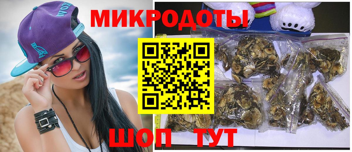 Псилоцибиновые грибы Psilocybine cubensis Саранск